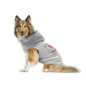 USC Trojans Gray SC Interlock Pet Hoodie